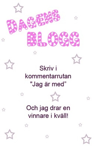 dagens blogg_thumb[2]