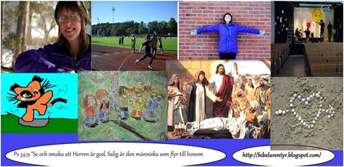 Skärmklipp