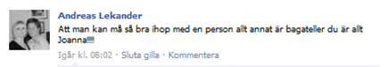 Skärmklipp