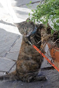 IMG_7343 IMG_7343