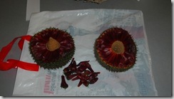 pinon3