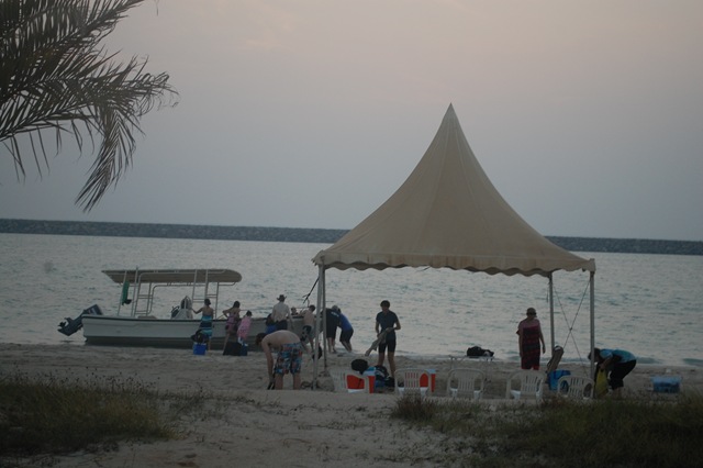 [DSC_0266[4].jpg]