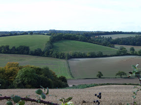 S4300470.JPG 
