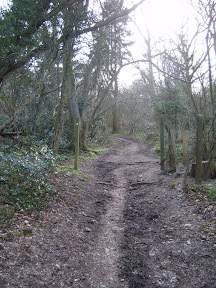 S4301739.JPG 