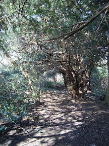 S4301730.JPG 