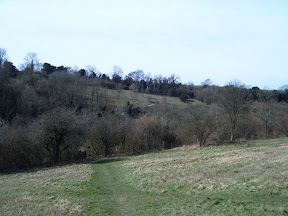 S4301733.JPG 