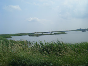DSCF2384.JPG 