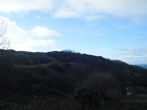 DSCF1442.JPG 