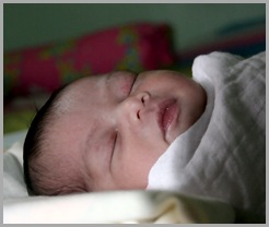 Aisyah 2 hari Aisyah 2 hari