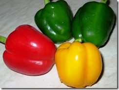 capsicum