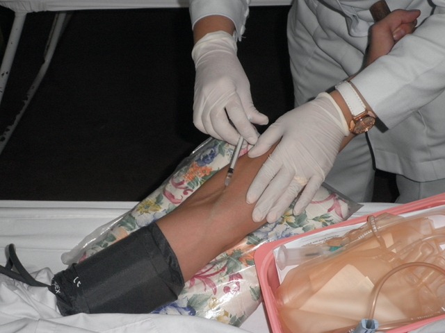 [P8240684[3].jpg]