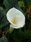 DSCN1952.jpg