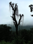 DSCN2192.jpg