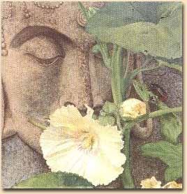 [stillness of life[2].jpg]
