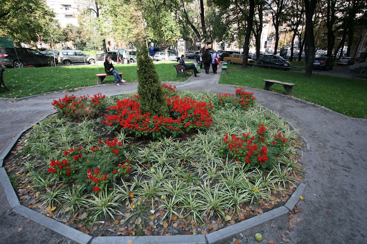 Прорезная. РЕЗУЛЬТАТ БОРЬБЫ http://lh4.ggpht.com/_asOZoMGIF_I/TJiqwYFeXsI/AAAAAAAAAf8/GZVIwY2iS78/s720/IMG_7691.JPG