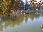 IMG_0169.JPG