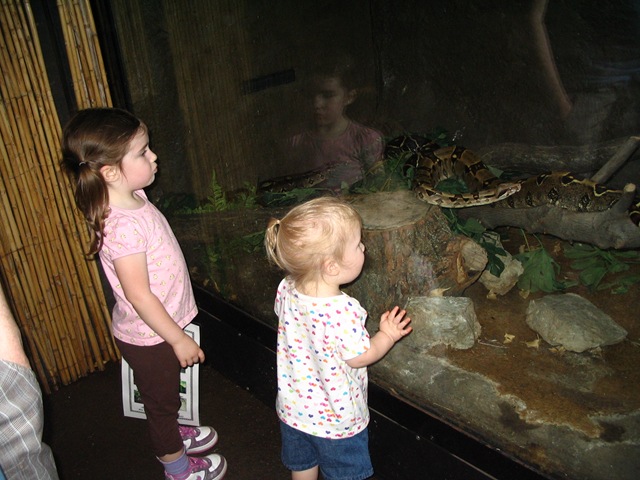 [2009_05_12 066[4].jpg]