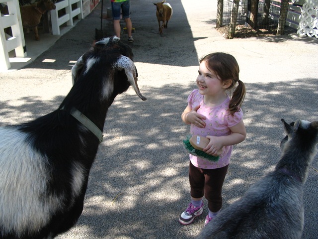 [2009_05_12 158[3].jpg]