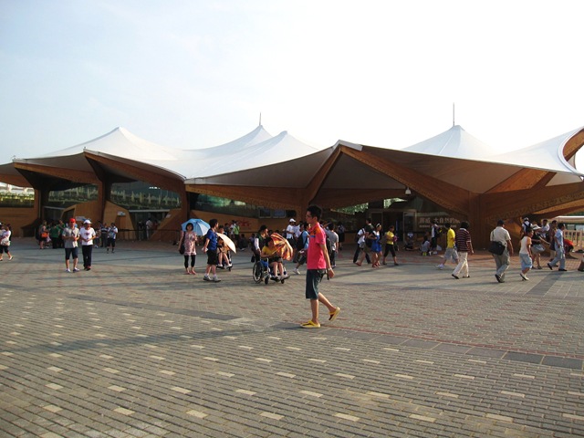 [IMG_61138.jpg]
