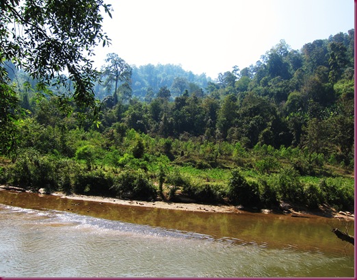 mae taeng elephant park mae taeng river