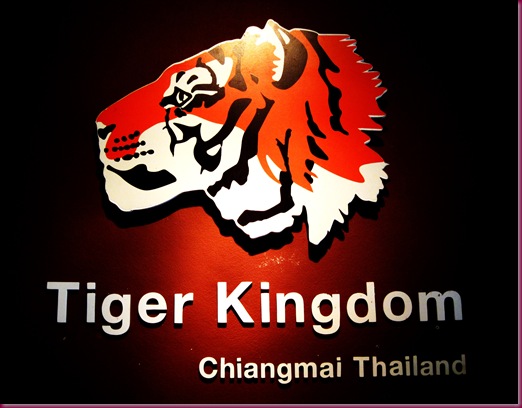 tiger kingdom chiang mai