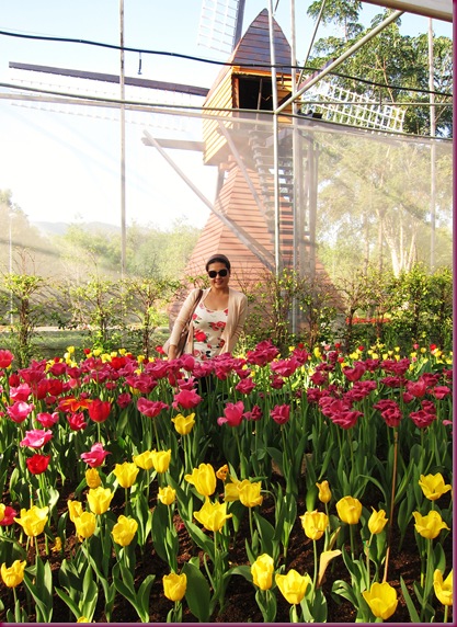royal flora rajapruek tulip