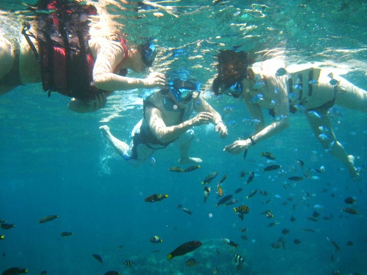 [27236_422211090930_695505930_5811876_5101753_n[7].jpg]