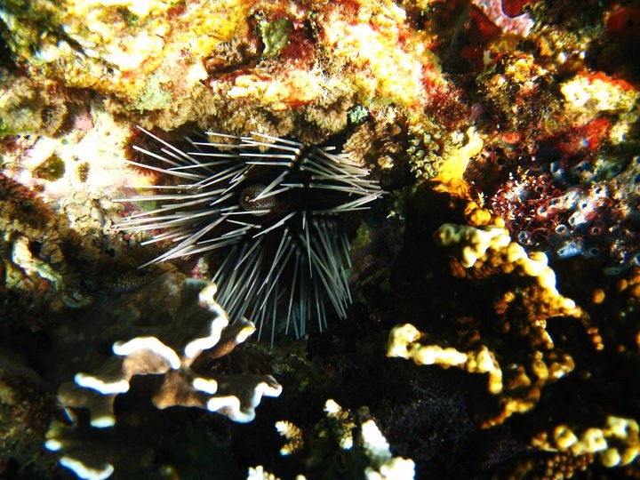 [27236_422209985930_695505930_5811867_8224940_n[5].jpg]