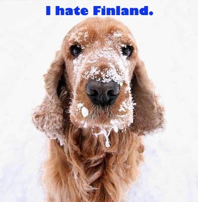 [Adina1-Finland-Dog[7].jpg]