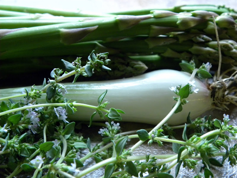 asparagus%20onion%20thyme.JPG