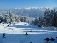 IMG_3824.jpg