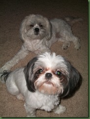 Stella & Sofie