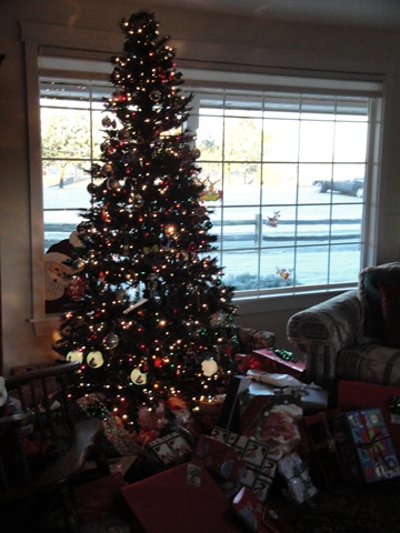 [Christmas 2009 009[3].jpg]