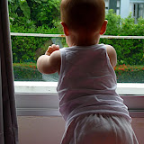 P1080354.jpg
