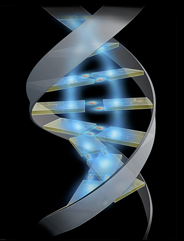 dna.jpg