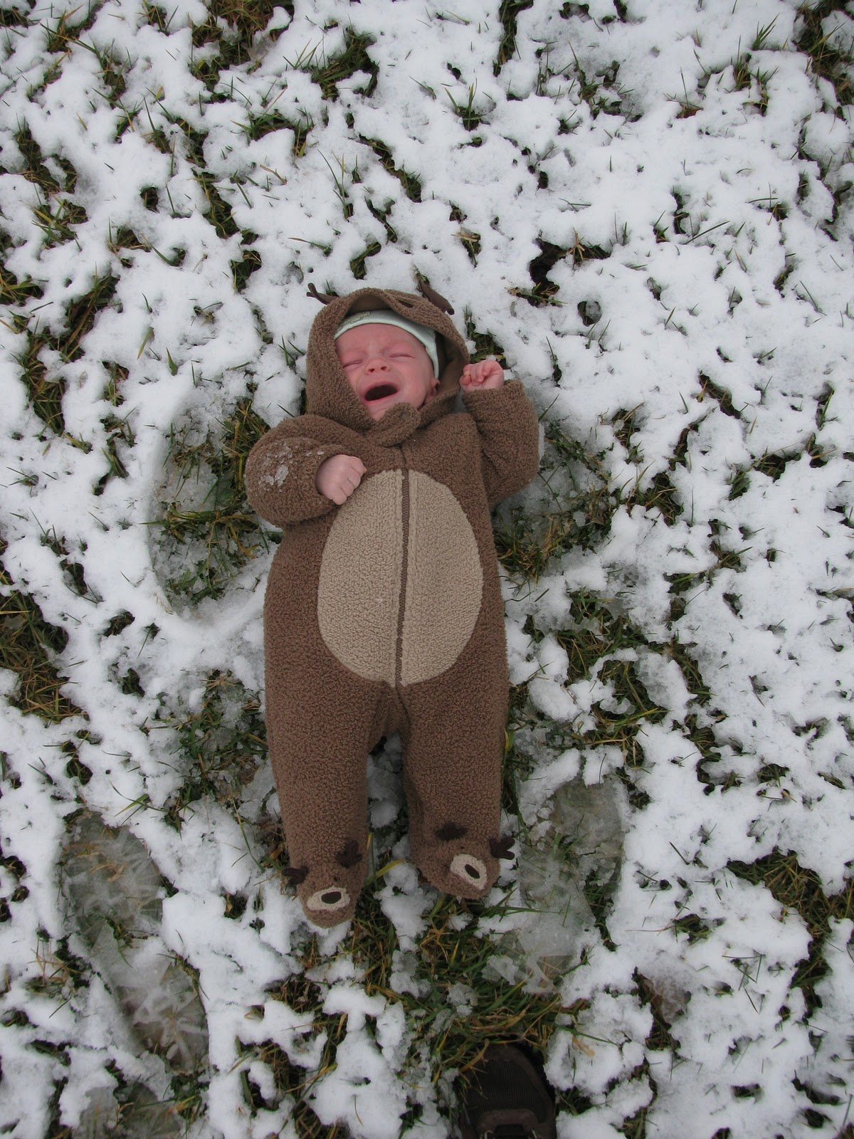 [SnowDay132.jpg]