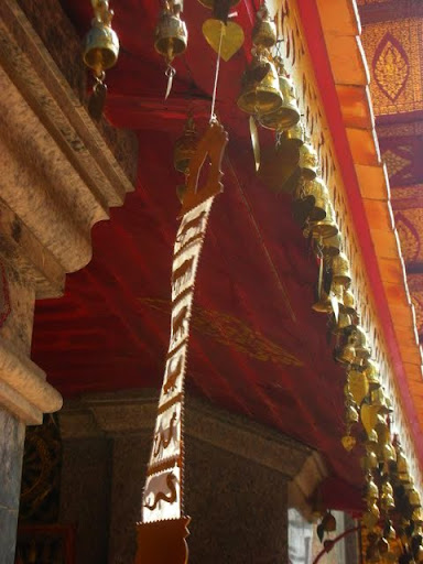 DSCN4350.JPG