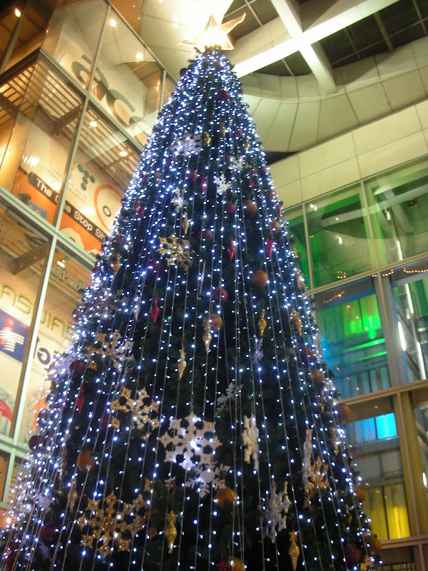 DSCN4724.JPG