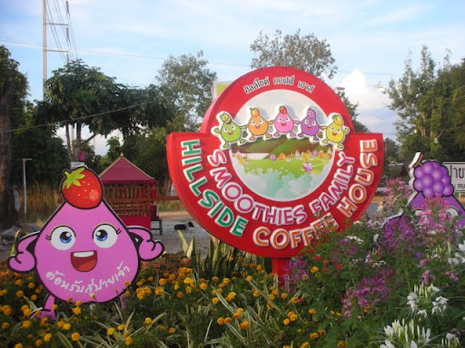 DSCN4541.JPG
