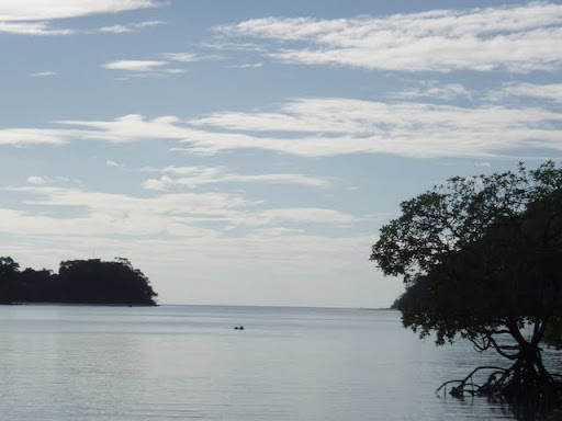 P1010125.JPG