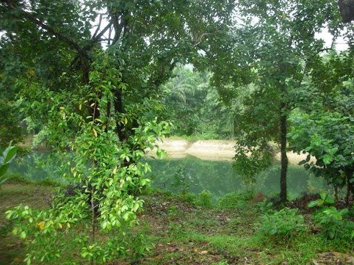 DSCN4818.JPG