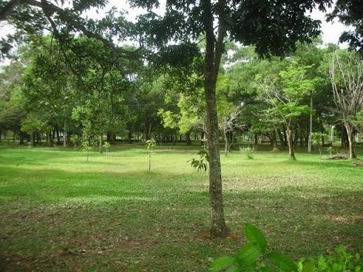 DSCN4983.JPG