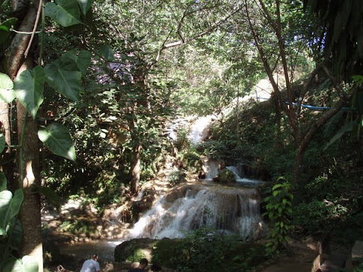 P1010115.JPG