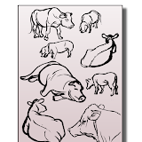 07_lifedrawing1.png
