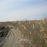IMG_0134.JPG