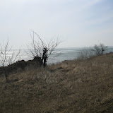 IMG_0154.JPG