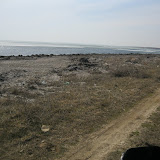 IMG_0155.JPG
