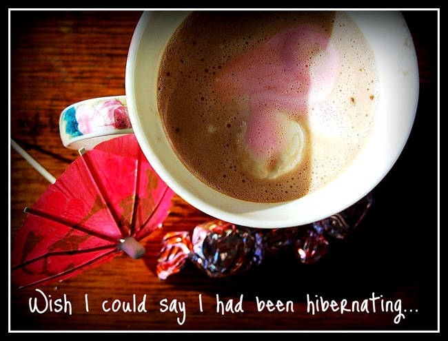 [Hot Chocolate[3].jpg]