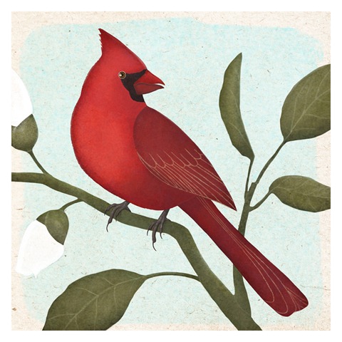 [an american cardinal[5].jpg]