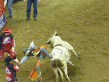 P1040753.JPG